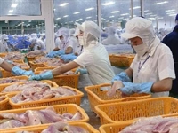 Thủy sản Việt Nam đoạt giải lớn tại châu Âu